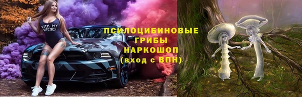 ГАЛЛЮЦИНОГЕННЫЕ ГРИБЫ Киренск