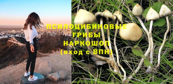 прущая мука Алексин