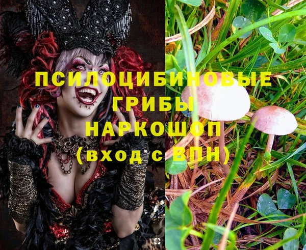 амф Алексеевка